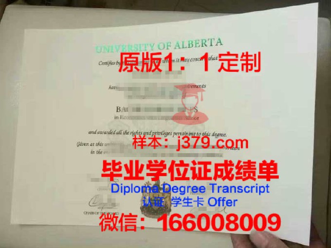 阿尔布施塔特-锡格马林根应用技术大学diploma证书