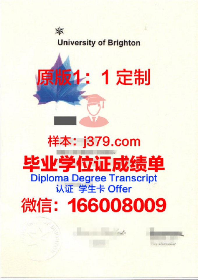 英国布莱顿大学毕业证样本(英国布莱顿大学怎么样)