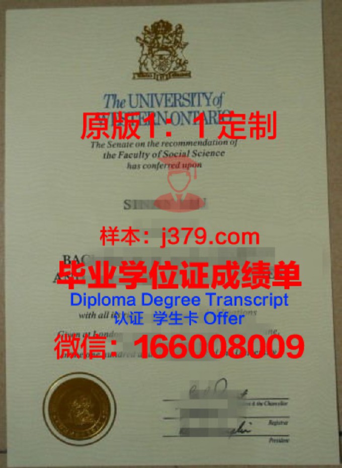 西安大略大学成绩单siz是什么(西安大略大学mfe)