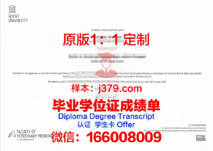 第比利斯国立大学硕士毕业证(比利时硕士学制)