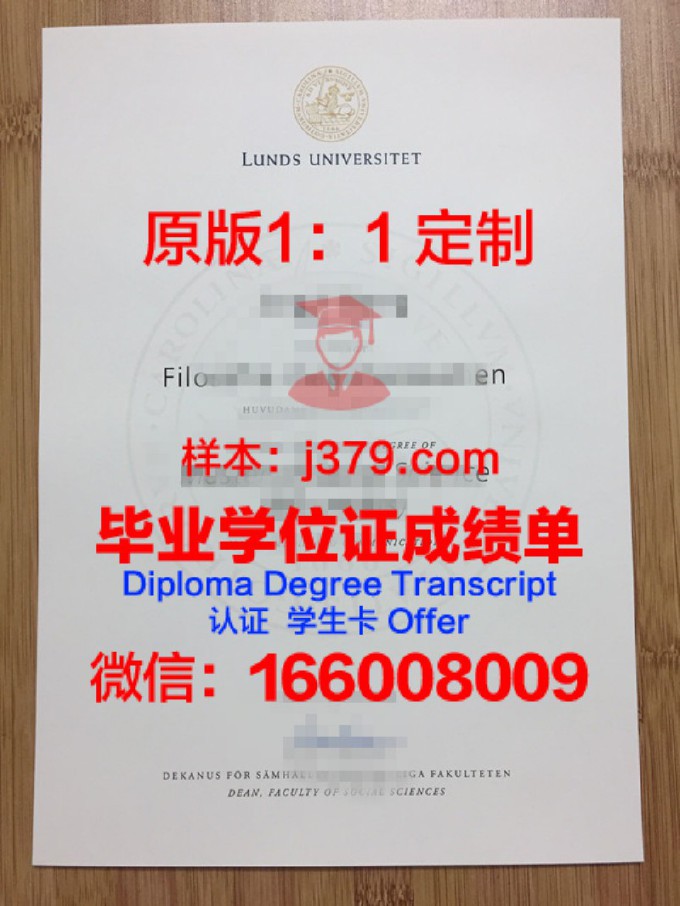 瑞典中部大学毕业证高清图(瑞典大学毕业典礼)