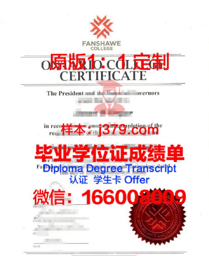 尼斯大学综合理工学院diploma证书(尼斯大学iae学院)