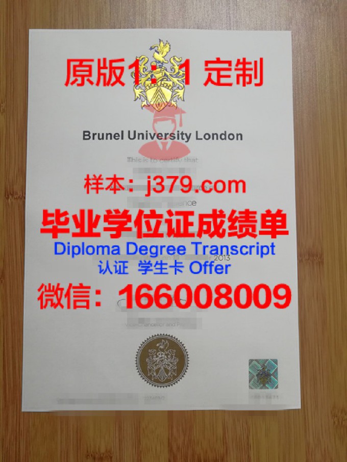 比利布鲁设计学院diploma证书(比利时布鲁塞尔的大学)