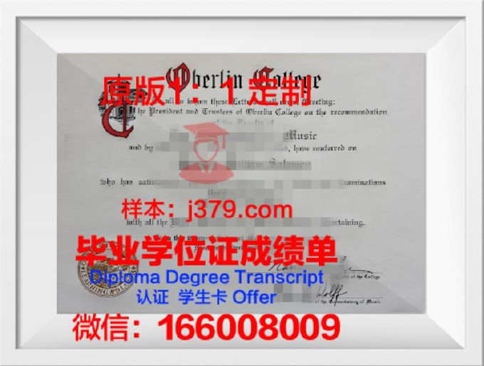 柏林工程与经济应用技术大学毕业证尺寸(柏林工业大学本科申请条件)