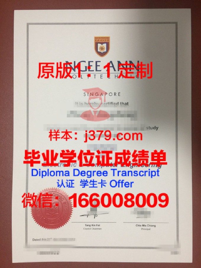 新加坡理工大学毕业证图片(新加坡大学毕业证图片大全)