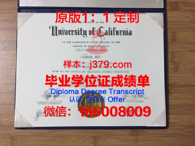 图卢兹高等商学院diploma证书(图卢兹高等商学院怎么样)