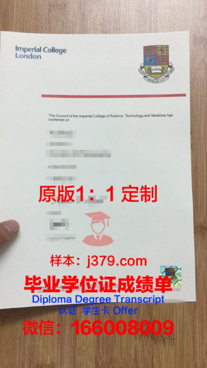 格勒诺布尔综合理工学院研究生毕业证书(格勒诺布尔大学fle)