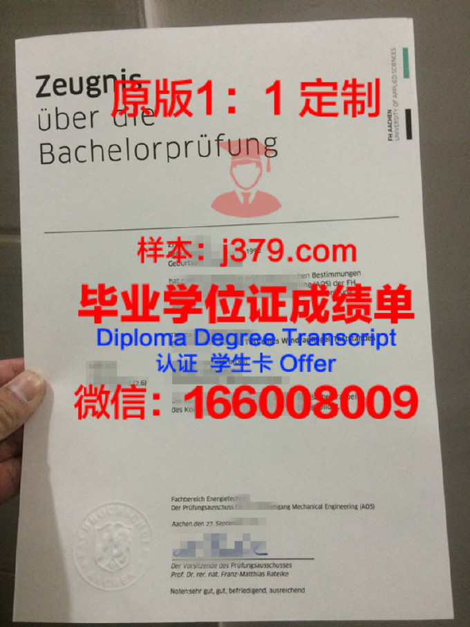 米纳斯吉拉斯联邦大学证书成绩单(米纳斯吉拉斯州)