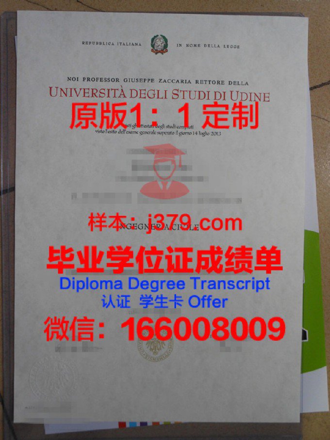 乌迪内大学毕业证模板(乌迪内大学毕业证模板图片)