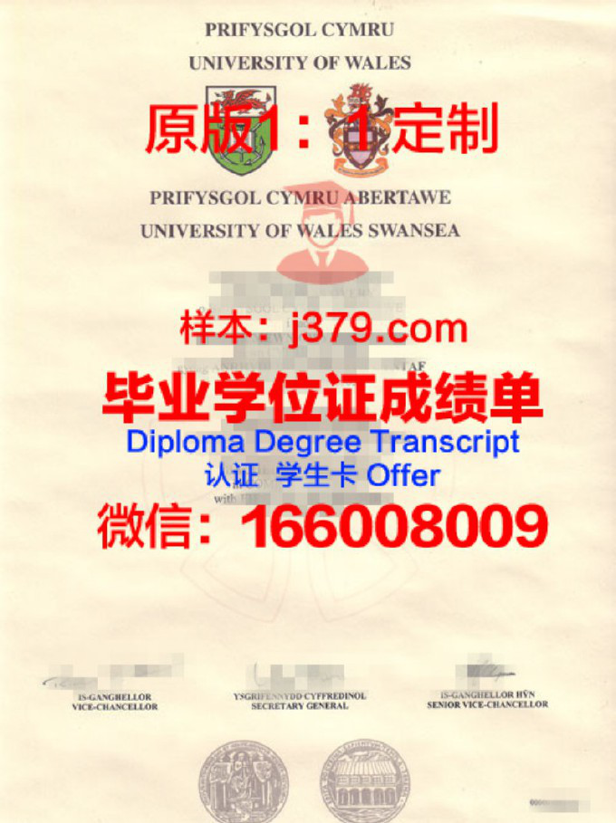 斯旺西大学毕业证长什么样(斯旺西大学毕业证长什么样子图片)