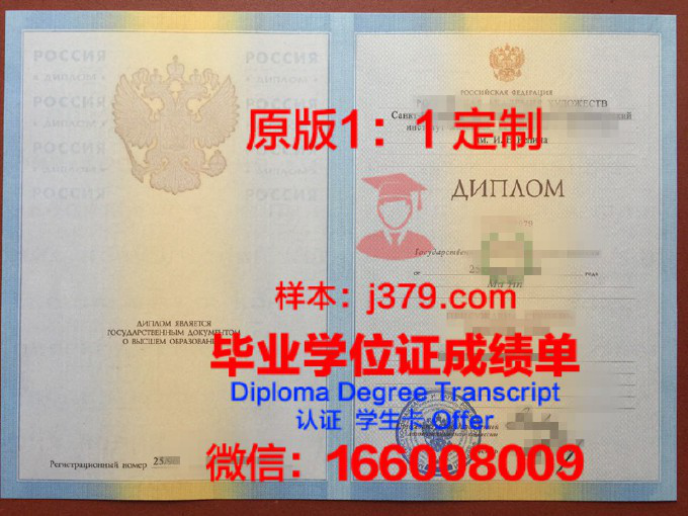 俄罗斯新经济学院毕业证Diploma文凭